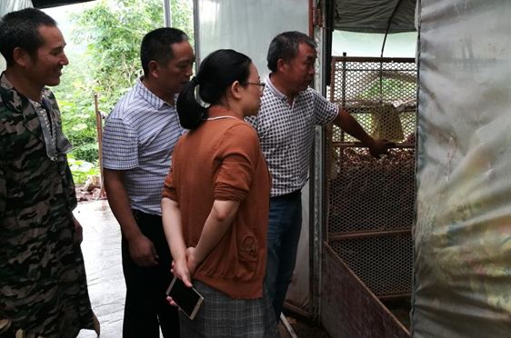 �в�����Ӫɽ�ص��вм��˹���