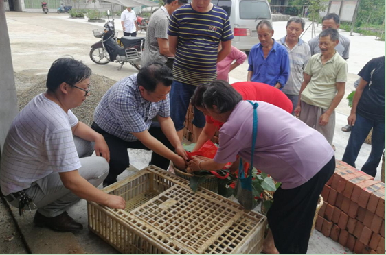 �����������忪չ���ͼ���