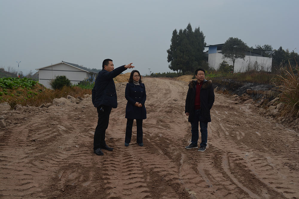 ��¤��ί��ί������鿴�زм�����������ʩ���ֳ�