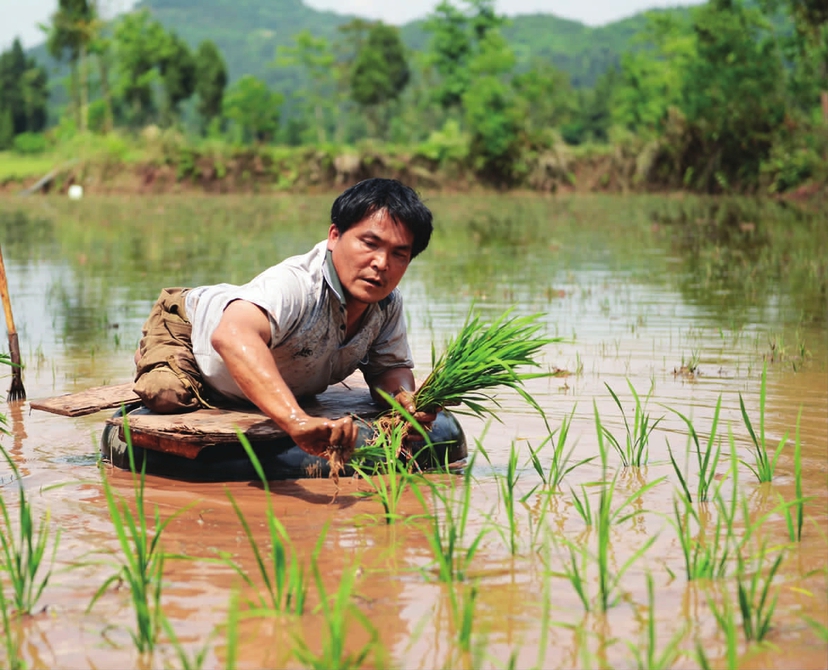 ������Ӳ��������� ����ǿ��Ϣ��������˧��