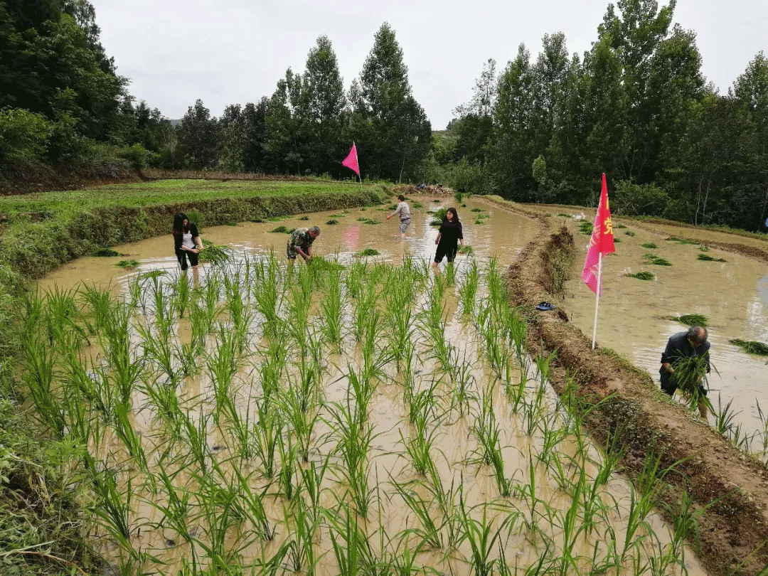 �ϲ��ز����������忪չ�����