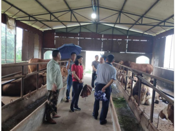 ���в������벩����������вм��˾�ҵ��ҵ����