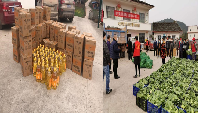 ѩ����̿����������������