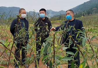 Ӫɽ�ز�������������л�����ҵ