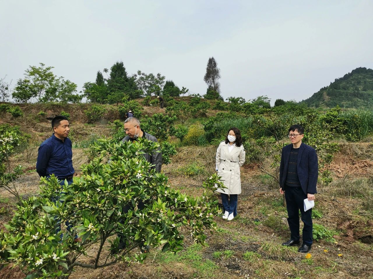 �ϲ��ز���Ϊ�м��ˡ���Ȩ���������ṩ��������ֳ����