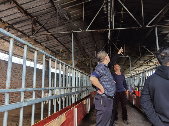 ��¤�������³������߷òм���������