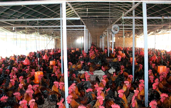 ��ز������ܿڽֵ�����вм��˴�ҵ����