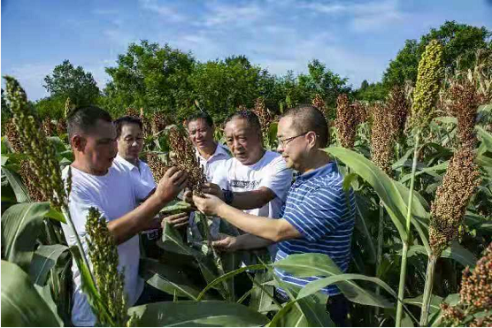 ���������������� �м�����ֲ��ϲ��ü�ҡ�����ģ���л��ظ���ϲ������