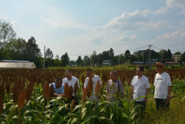 Ӫɽ���ܹ��ᡢ�ز���ʵ�ص�����������ģ���¹�������������ʾ������