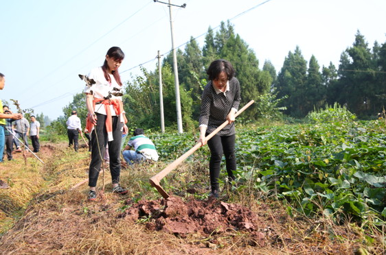 �в������뿪չ��ƶ�������